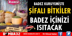 BADEZ KURUYEMİŞTE ŞİFALI BİTKİLER