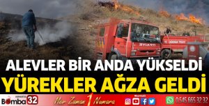Bağkonak'ta yangın