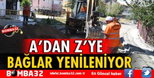 BAĞLAR BAŞTAN SONA YENİLENİYOR