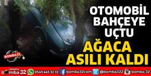 BAHÇEYE UÇAN OTOMOBİL AĞACA ASILI KADI