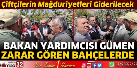 Bakan Gümen, zarar gören bahçeleri inceledi