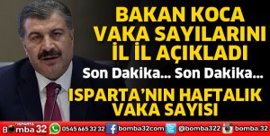 BAKAN KOCA İL İL AÇIKLADI