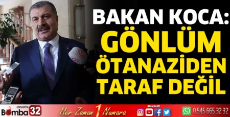 Bakan Koca'dan sokak köpeklerine ilişkin açıklama