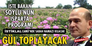 BAKAN SOYLU GÜL TOPLAYACAK!