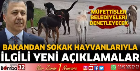Bakandan sokak hayvanlarıyla ilgili yeni açıklamalar