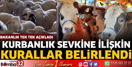 Bakanlık, kurbanlık sevkine ilişkin kuralları belirledi