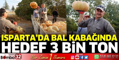 Bal kabağında hedef 3 bin ton rekolte
