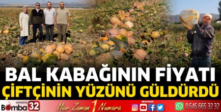 Bal kabağının fiyatı ve rekoltesi çiftçinin yüzünü güldürdü