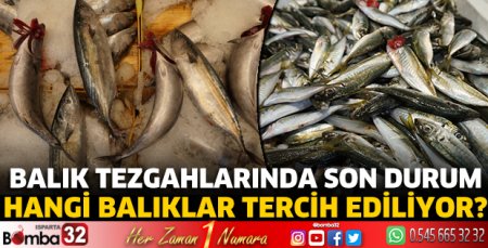 Balık tezgahlarında son durum 