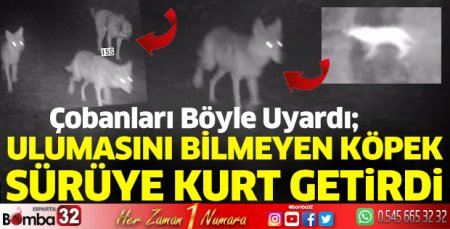 Başkan çobanları böyle uyardı