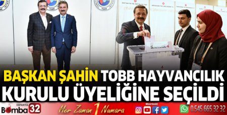 Başkan Şahin TOBB Hayvancılık Kurulu üyeliğine seçildi