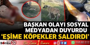 Başkanın eşine köpekler saldırdı