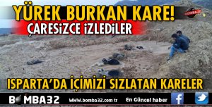 BATAKLIĞA SAPLANAN HAYVANLARINI ÇARESİZCE İZLEDİ