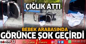Bebek arabasında görünce şok geçirdi
