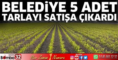 Belediye 5 adet tarlayı satışa çıkardı