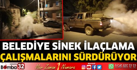 Belediye sinek ilaçlama çalışmalarını sürdürüyor