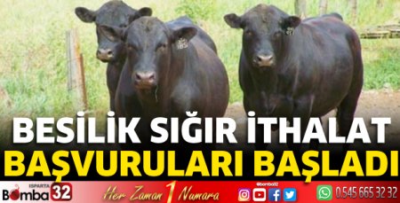 Besilik sığır ithalat başvuruları başladı 