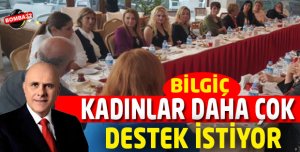 Bilgiç:Girişimciler daha çok desteklenecek