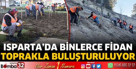 Binlerce fidan toprakla buluşturuluyor