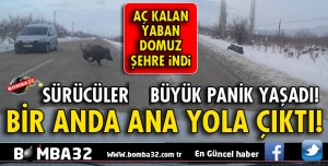 BİR ANDA YOLA ÇIKTILAR