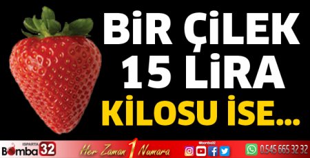Bir çilek 15 Lira