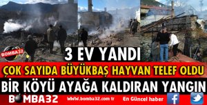 BİR KÖYÜ AYAĞA KALDIRAN YANGIN TAM 3 EV YANDI