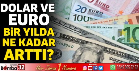 Bir yılda dolar ve euro ne kadar arttı?