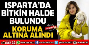 BİTKİN HALDE BULUNUP KORUMAYA ALINDI