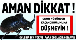 Biyokaçakçı durumuna düşmeyin!