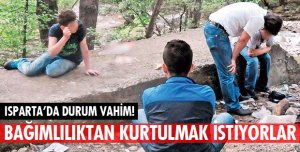 BONZAİ ALARMI!