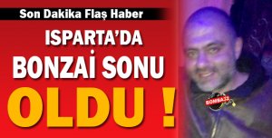 Bonzai Isparta'da Can Aldı