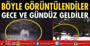 Böyle görüntülendiler