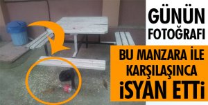 BÖYLE HAYVANLARLA NASIL UYGULANACAK
