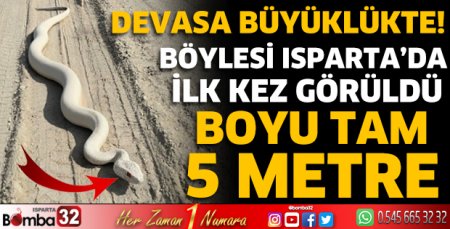 Böylesi Isparta'da ilk kez görüldü