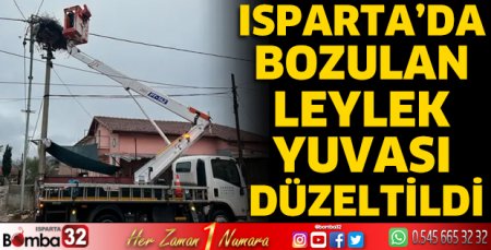 Bozulan leylek yuvası düzeltildi