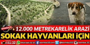 BU ARAZİ SOKAK HAYVANLARI İÇİN 