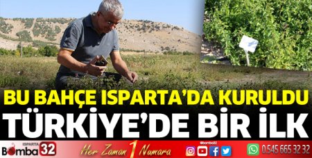 Bu bahçe, mentollü nane yağında dışa bağımlılıktan kurtaracak