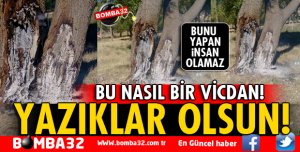 BU BİR DOĞA KATLİAMIDIR!