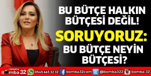 BU BÜTÇE NEYİN BÜTÇESİ