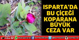 Bu çiçeği koparan yandı