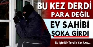 BU DA ŞAŞKIN HIRSIZ 