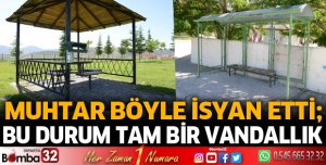 Bu durum tam bir vandallık