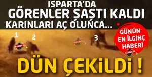 BU FOTOĞRAFLAR DÜN ÇEKİLDİ 