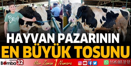Bu hafta hayvan pazarın en büyük tosunu