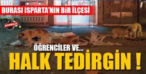 BU İLÇEDE ÖĞRENCİLER TEDİRĞİN !