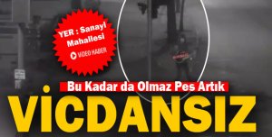 BU KADAR DA OLMAZ !