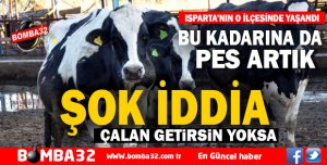 BU KADARINA DA PES ARTIK 