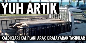 BU KADARINA DA PES DOĞRUSU!