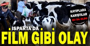 BU OLAY FİLM SAHNELERİNİ ARATMADI 