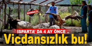 BU OLAY VİCDANSIZLIKTIR !